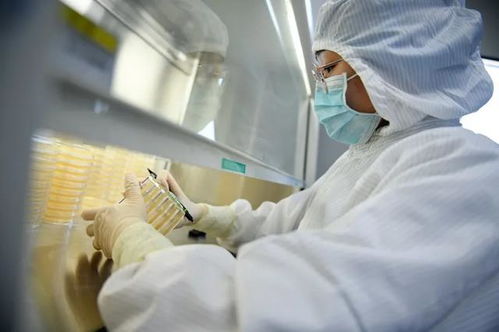 日常防护型口罩技术要求及检验方法——保障呼吸健康的专业指南